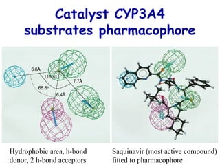 Catalyst CYP3A4
substrates pharmacophore
Hydrophobic area, h-bond
donor, 2 h-bond acceptors
Saquinavir (most active compound)
fitted to pharmacophore
 