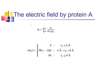 The electric field by protein A
 