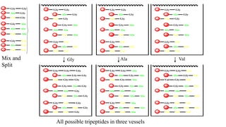 Gly
Ala
Val
Gly
Gly
Gly
Gly
Ala
Val
Ala
Ala
Ala
Gly
Ala
Val
Val
Val
Val
Gly
Ala
Val
Gly
Gly
Gly
Gly
Ala
Val
Ala
Ala
Ala
Gly
Ala
Val
Val
Val
Val
Gly
Ala
Val
Gly
Gly
Gly
Gly
Ala
Val
Ala
Ala
Ala
Gly
Ala
Val
Val
Val
Val
Gly
Ala
Val
Gly
Gly
Gly
Gly
Ala
Val
Ala
Ala
Ala
Gly
Ala
Val
Val
Val
Val
Gly Ala Val
Gly
Ala
Val
Gly
Gly
Gly
Gly
Ala
Val
Ala
Ala
Ala
Gly
Ala
Val
Val
Val
Val
Gly
Ala
Val
Gly
Gly
Gly
Gly
Ala
Val
Ala
Ala
Ala
Gly
Ala
Val
Val
Val
Val
Gly
Ala
Val
Gly
Gly
Gly
Gly
Ala
Val
Ala
Ala
Ala
Gly
Ala
Val
Val
Val
Val
Gly
Gly
Gly
Gly
Gly
Gly
Gly
Gly
Gly
Ala
Ala
Ala
Ala
Ala
Ala
Ala
Ala
Ala
Val
Val
Val
Val
Val
Val
Val
Val
Val
Mix and
Split
All possible tripeptides in three vessels
 