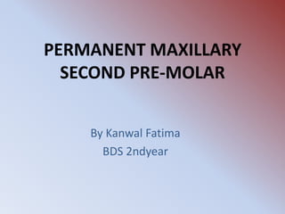 PERMANENT MAXILLARY
SECOND PRE-MOLAR
By Kanwal Fatima
BDS 2ndyear

 