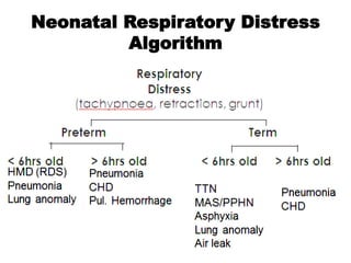 Neonatal Respiratory Distress
Algorithm
 