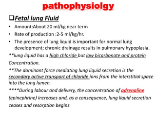 pathophysiolgy
Fetal lung Fluid
• Amount:About 20 ml/kg near term
• Rate of production :2-5 ml/kg/hr.
• The presence of lung liquid is important for normal lung
development; chronic drainage results in pulmonary hypoplasia.
**lung liquid has a high chloride but low bicarbonate and protein
Concentration.
**The dominant force mediating lung liquid secretion is the
secondary active transport of chloride ions from the interstitial space
into the lung lumen.
****During labour and delivery, the concentration of adrenaline
(epinephrine) increases and, as a consequence, lung liquid secretion
ceases and resorption begins.
 