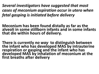 Several investigators have suggested that most
cases of meconium aspiration occur in utero when
fetal gasping is initiated before delivery
Meconium has been found distally as far as the
alveoli in some stillborn infants and in some infants
that die within hours of delivery.
There is currently no way to distinguish between
the infant who has developed MAS by intrauterine
respiration or gasping and the infant who has
developed MAS by inhalation of meconium at the
first breaths after delivery
 