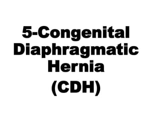 5-Congenital
Diaphragmatic
Hernia
(CDH)
 