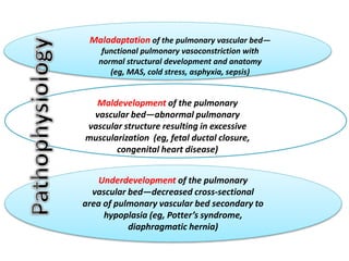 Maladaptation of the pulmonary vascular bed—
functional pulmonary vasoconstriction with
normal structural development and anatomy
(eg, MAS, cold stress, asphyxia, sepsis)
Maldevelopment of the pulmonary
vascular bed—abnormal pulmonary
vascular structure resulting in excessive
muscularization (eg, fetal ductal closure,
congenital heart disease)
Underdevelopment of the pulmonary
vascular bed—decreased cross-sectional
area of pulmonary vascular bed secondary to
hypoplasia (eg, Potter’s syndrome,
diaphragmatic hernia)
 