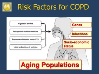 Risk Factors for COPD

                 Genes

                 Infections

             Socio-economic
             status




Aging Populations
 
