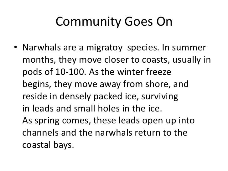 What Is The Amount Of Food That Narwhals Eat What Is The Amount Of Food That Narwhals Eat