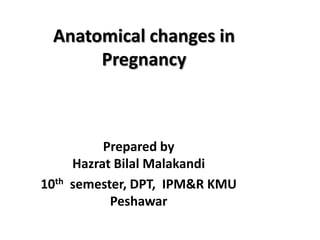 Anatomical changes in
Pregnancy

10th

Prepared by
Hazrat Bilal Malakandi
semester, DPT, IPM&R KMU
Peshawar

 