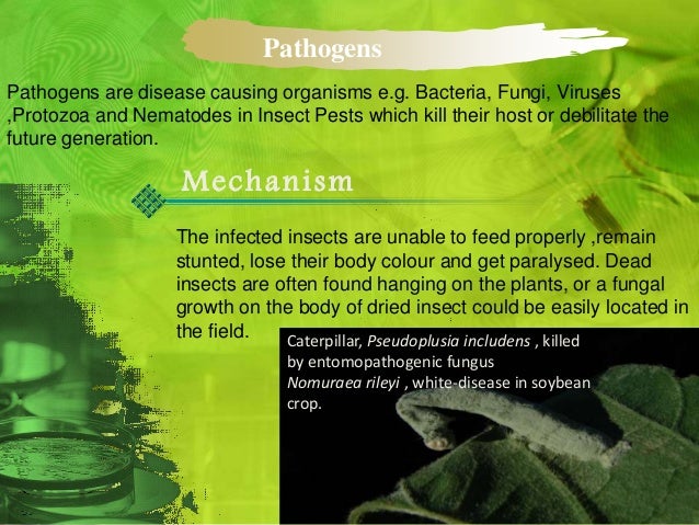 Biological Control Of Plant Diseases - 