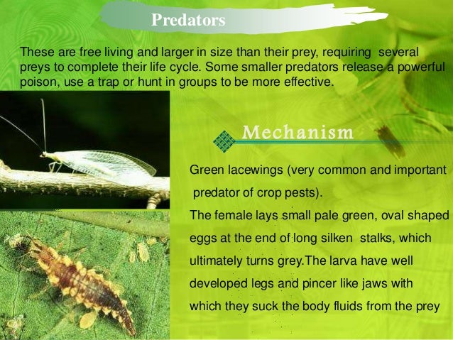 Biological Control Of Plant Diseases - 