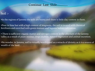 Continue Last Slide………….. 
Soil :- 
•In the regions of Jammu the soils are loamy and there is little clay content in them. 
•Poor in lime but with a high content of magnesia, the soil is treated with chemical 
fertilizers and enriched with green manure and legume before cultivation. 
• There is sufficient organic matter and nitrogen content in the alluvium of the Jammu 
valley as a result of plant residue, crops stubble, natural vegetation and animal excretion. 
•No wonder, in Jammu, soil is virtually worshipped as a miracle of divinity as it is a source of 
wealth of the land. 
 