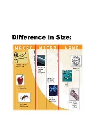 Difference in Size:
 