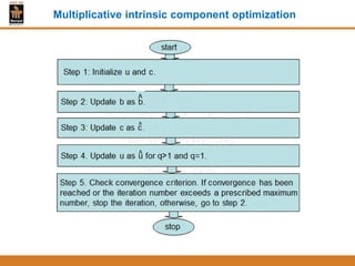 Multiplicative intrinsic component optimization
 