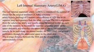 Coronary Artery Bypass Grafting by Abdullah Waheed.pptx