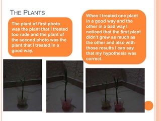 My project about plants | PPTX | Science