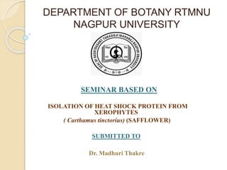 DEPARTMENT OF BOTANY RTMNU
NAGPUR UNIVERSITY
SEMINAR BASED ON
ISOLATION OF HEAT SHOCK PROTEIN FROM
XEROPHYTES
( Carthamus tinctorius) (SAFFLOWER)
SUBMITTED TO
Dr. Madhuri Thakre
 