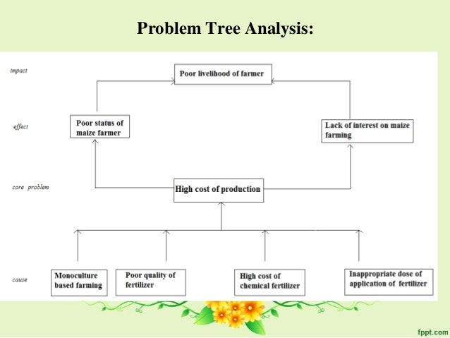 ENHANCEMENT OF ECONOMIC STATUS OF MAIZE FARMER UNDER CROP ROTATION OF…