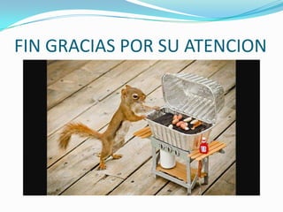 FIN GRACIAS POR SU ATENCION
 