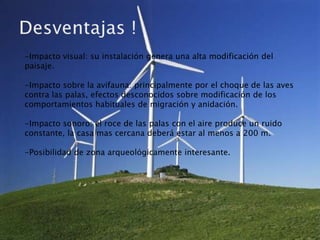 -Impacto visual: su instalación genera una alta modificación del
paisaje.

-Impacto sobre la avifauna: principalmente por el choque de las aves
contra las palas, efectos desconocidos sobre modificación de los
comportamientos habituales de migración y anidación.

-Impacto sonoro: el roce de las palas con el aire produce un ruido
constante, la casa mas cercana deberá estar al menos a 200 m.

-Posibilidad de zona arqueológicamente interesante.
 