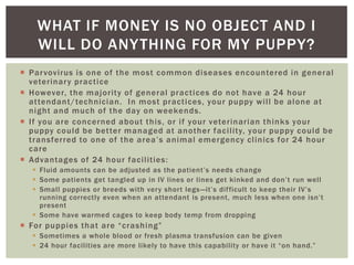 WHAT IF MONEY IS NO OBJECT AND I
   WILL DO ANY THING FOR MY PUPPY?
 Par vovirus is one of the most common diseases encou...