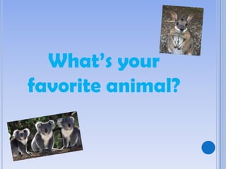 What’s your
favorite animal?