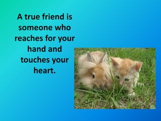 A true friend is
 someone who
reaches for your
    hand and
  touches your
      heart.
 