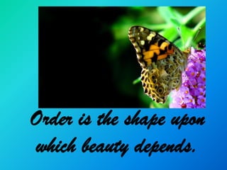 Order is the shape upon
which beauty depends.
 