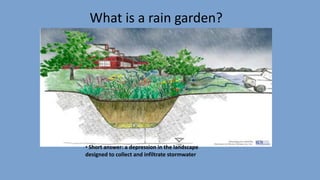 What	is	a	rain	garden?
•	Short	answer:	a	depression	in	the	landscape	
designed	to	collect	and	infiltrate	stormwater
 