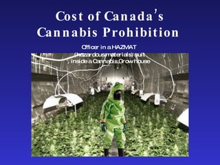 Cost of Canada’s Cannabis Prohibition  Officer in a HAZMAT   (hazardous materials) suit  inside a Cannabis Grow house 