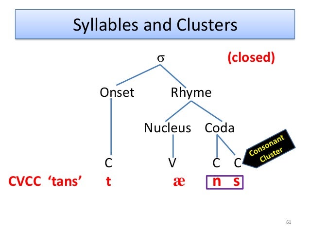 Phonology: The Sound Patterns of Language