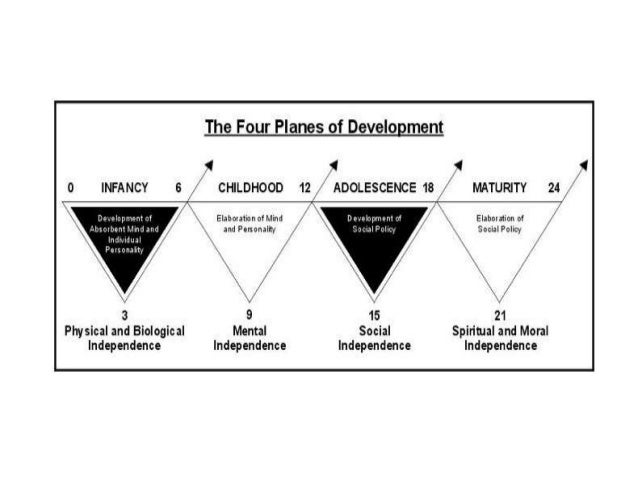 First plane of development picture