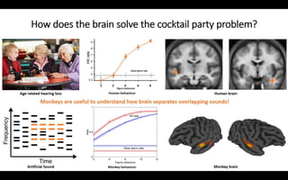 How does the brain solve the cocktail party problem?