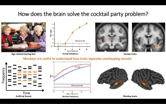 How Does The Brain Solve The Cocktail Party Problem how-does-the-brain-solve-the-cocktail-party-problem