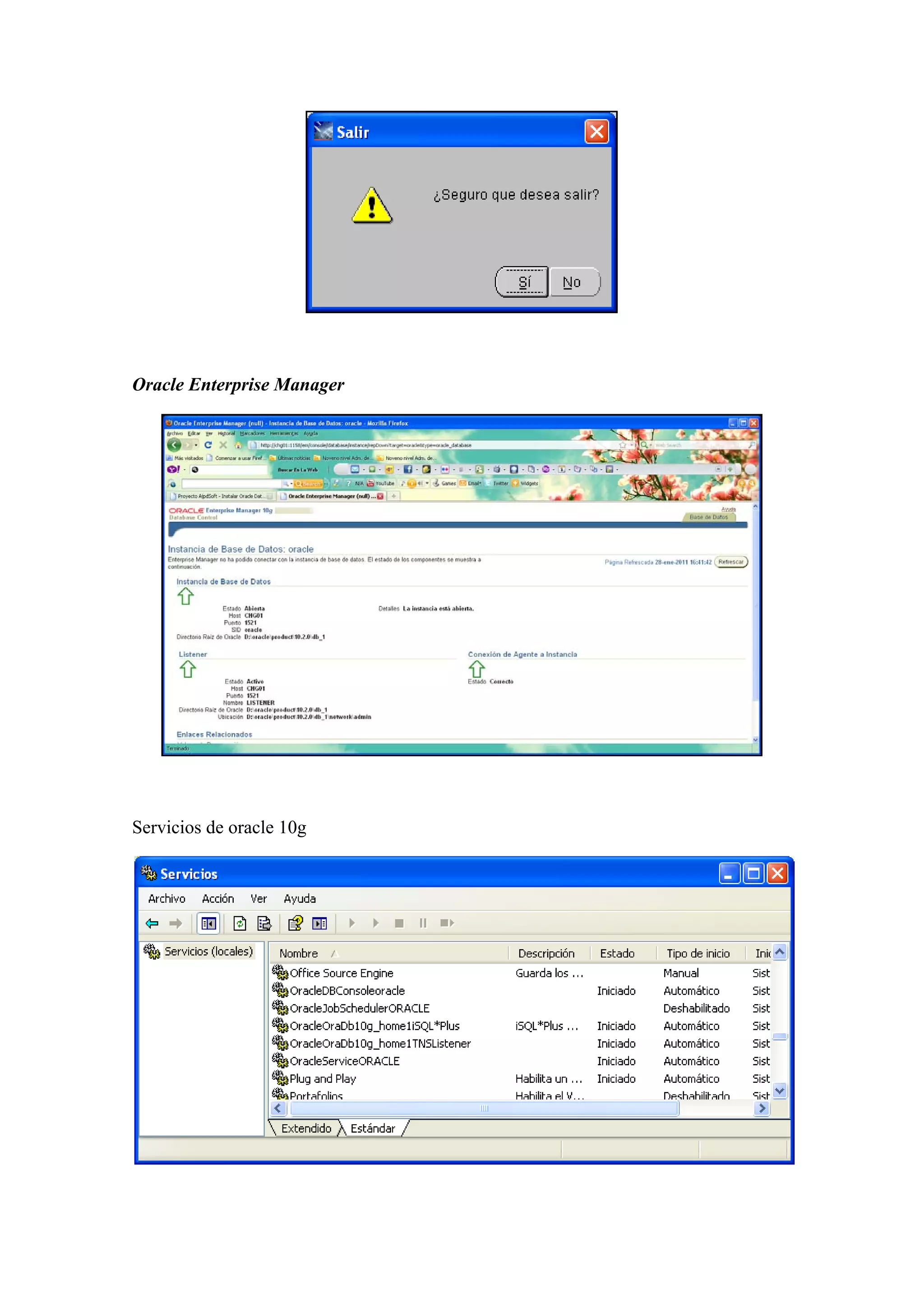  

 

Oracle Enterprise Manager




                                 

 

Servicios de oracle 10g




                                     
 