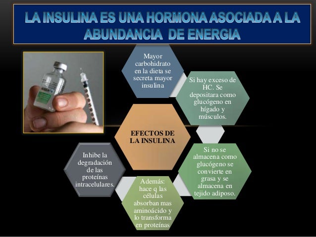 Fisiología Gyton Capitulo 78: Insulina, Glucógeno y Fisiología Gyton Capitulo 78: Insulina, Glucógeno y