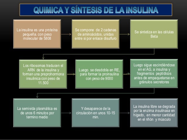 Fisiología Gyton Capitulo 78: Insulina, Glucógeno y Fisiología Gyton Capitulo 78: Insulina, Glucógeno y
