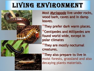 Living EnvironmEntLiving EnvironmEnt
MostMost MyriapodaMyriapoda live under rocks,live under rocks,
wood bark, caves and in dampwood bark, caves and in damp
leaves.leaves.
*They prefer dark warm places.They prefer dark warm places.
*Centipedes and Millipedes areCentipedes and Millipedes are
found world wide, except infound world wide, except in
polar climatespolar climates
*They are mostly nocturnalThey are mostly nocturnal
creatures.creatures.
*They also prepare to live inThey also prepare to live in
moist forests, grassland and also
decaying plants materials.
 