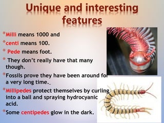 *Milli means 1000 and
*centi means 100.
* Pede means foot.
* They don’t really have that many
though.
*Fossils prove they have been around for
a very long time.
*Millipedes protect themselves by curling
into a ball and spraying hydrocyanic
acid.
*Some centipedes glow in the dark.
 