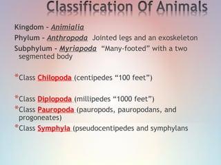 Kingdom – Animialia
Phylum – Anthropoda Jointed legs and an exoskeleton
Subphylum - Myriapoda “Many-footed” with a two
segmented body
*Class Chilopoda (centipedes “100 feet”)
 
*Class Diplopoda (millipedes “1000 feet”)  
*Class Pauropoda (pauropods, pauropodans, and
progoneates)  
*Class Symphyla (pseudocentipedes and symphylans
 
