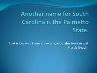 That is because there are over 2,000 palm trees in just
                                        Myrtle Beach!
 