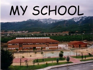 MY SCHOOL 