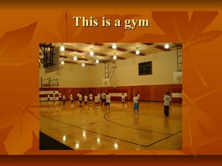 This is a gymThis is a gym
 