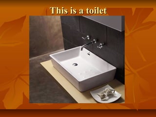 This is a toiletThis is a toilet
 