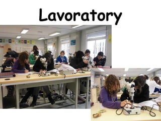 Lavoratory
 