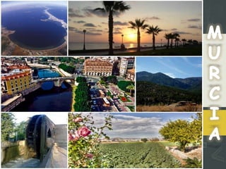 My schooldefpresentacion