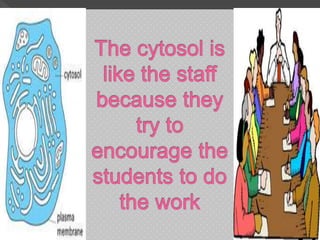 My school is like a cell alexus