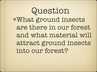 Question
What ground insects
are there in our forest
and what material will
attract ground insects
into our forest?
 