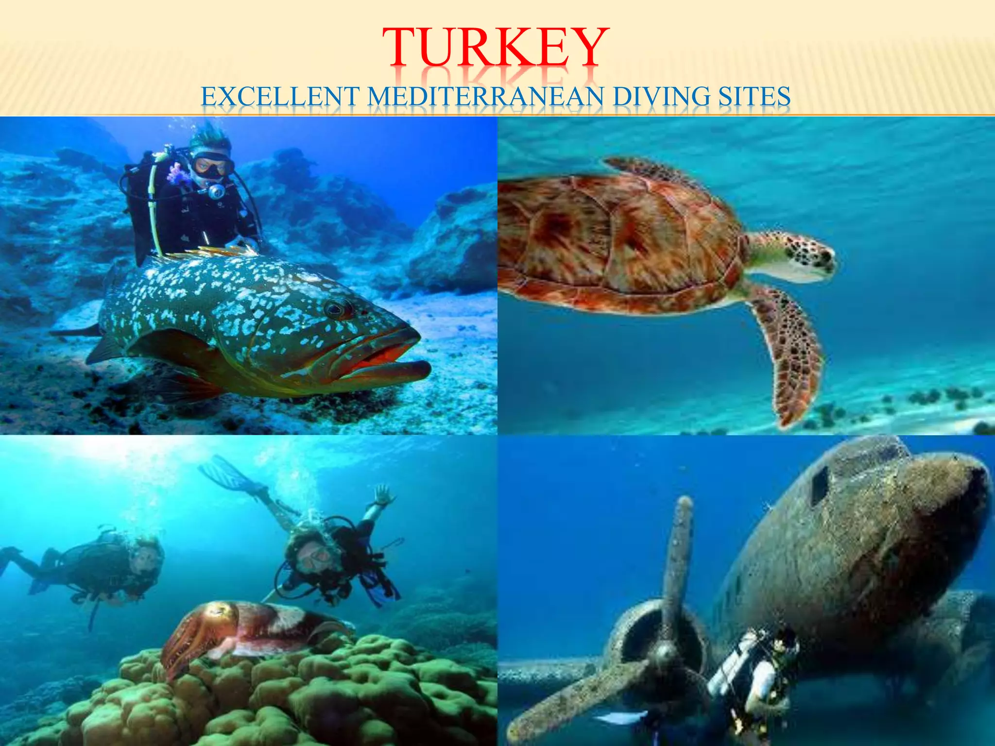 TURKEY
EXCELLENT MEDITERRANEAN DIVING SITES