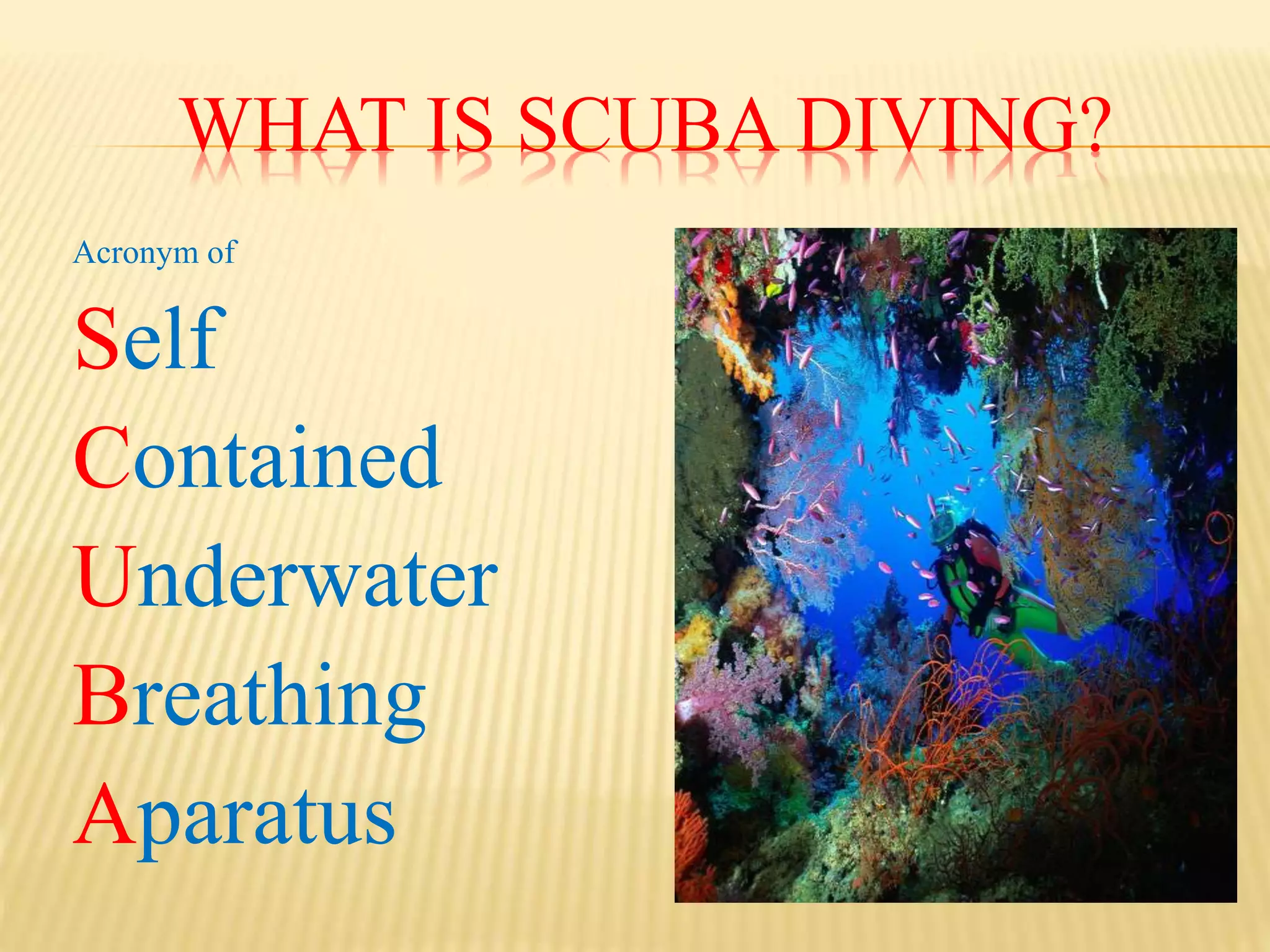 WHAT IS SCUBA DIVING?
Acronym of
Self
Contained
Underwater
Breathing
Aparatus