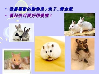 • 我最喜歡的動物是 : 兔子 . 黃金鼠
• 看起很可愛好想養喔 !
 